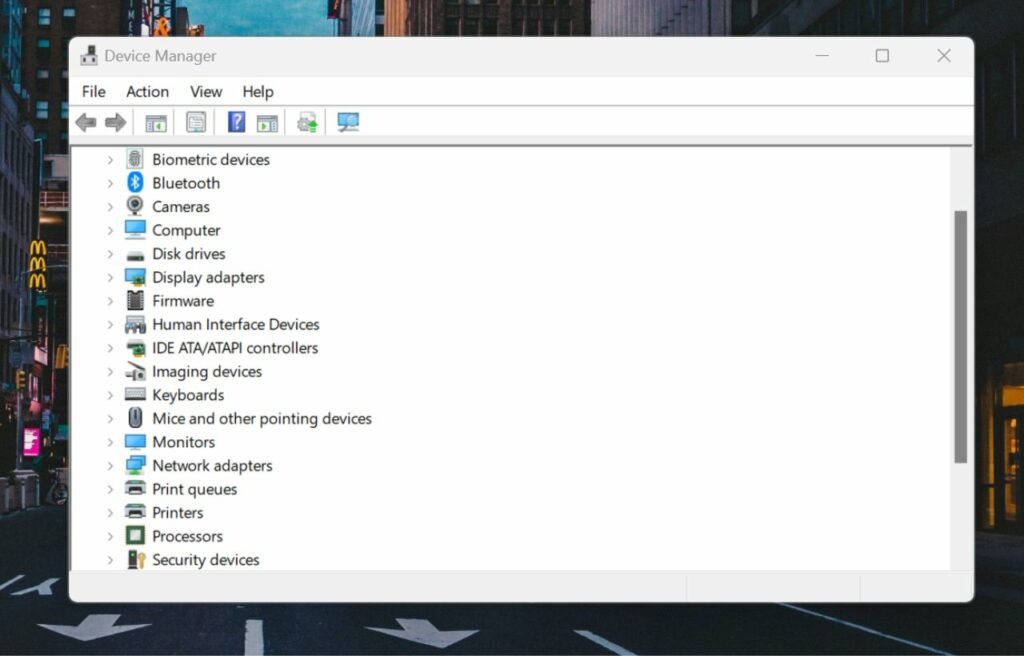 device manager screen on Windows
